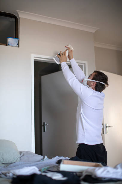 Reliable Dacula, GA Mold Removal Solutions