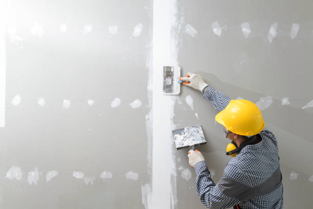 Best Water Damage & Mold Remediation  in Dacula, GA
