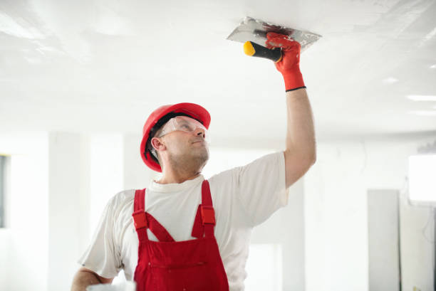 Best Commercial Mold Inspection  in Dacula, GA