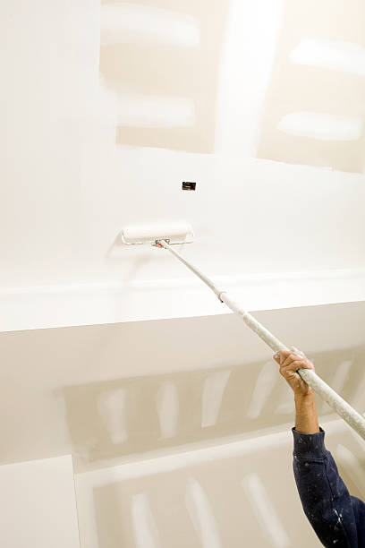 Best Black Mold Removal  in Dacula, GA
